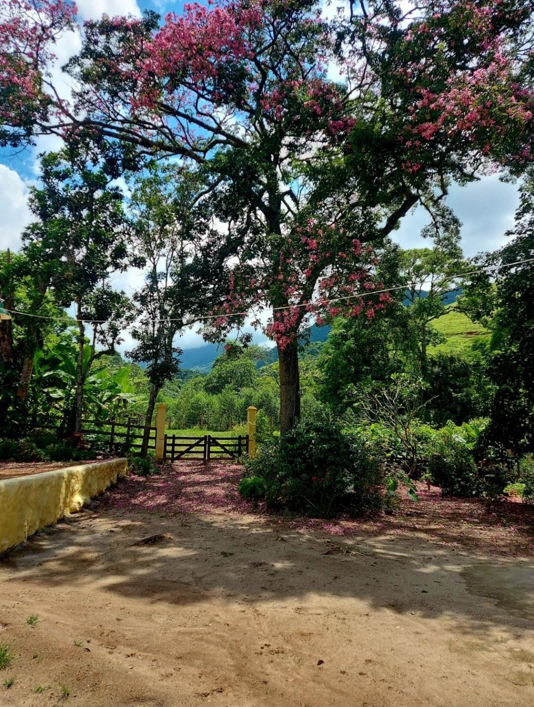 Pousada Sitio Monte Sinai São José do Barreiro Exterior foto